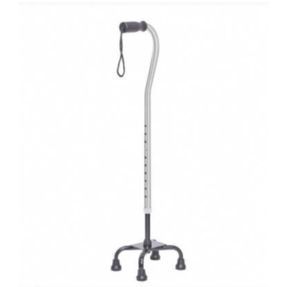 Karma Ryder WS- 420 ST Silver Walking stick